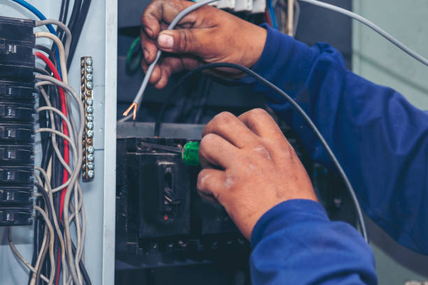 Best Electric Panel Repair  in Mount Clemens, MI