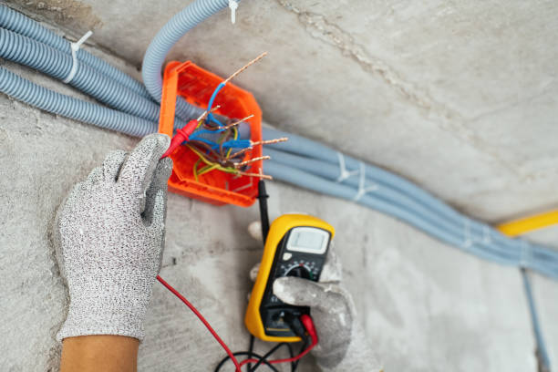 Best Electrician Near Me  in Mount Clemens, MI